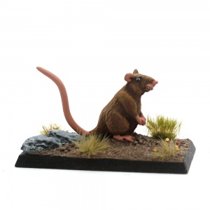 Giant Rat - Chew-Ratty