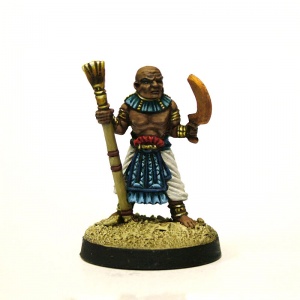 Servants of the Undead Pharaoh  #3 Priest