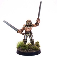 Barbarian with two Swords