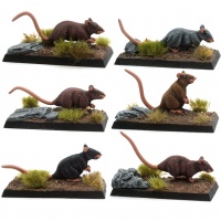 A Mischief of Rats! (Set of Giant Rats)
