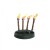 Lit Torches
