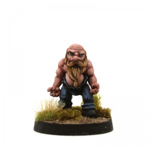 Wonko, The Wrestling Dwarf