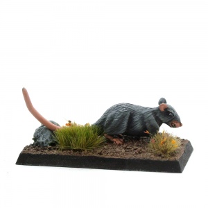 Giant Rat - Scurry-Ratty
