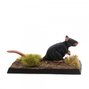 Giant Rat - Sewer-Ratty