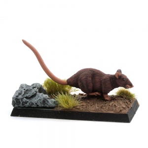 Giant Rat - Shadow-Ratty