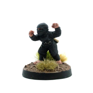 Female Halfling Ninja - The Shadow Princess