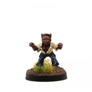 Male Halfling Werewolf - Boris Furfoot