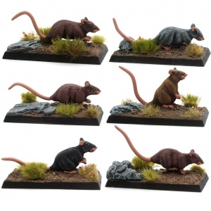 A Mischief of Rats! (Set of Giant Rats)
