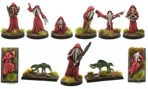 Return of the Cult of the Kraken Lord (11 Miniatures)