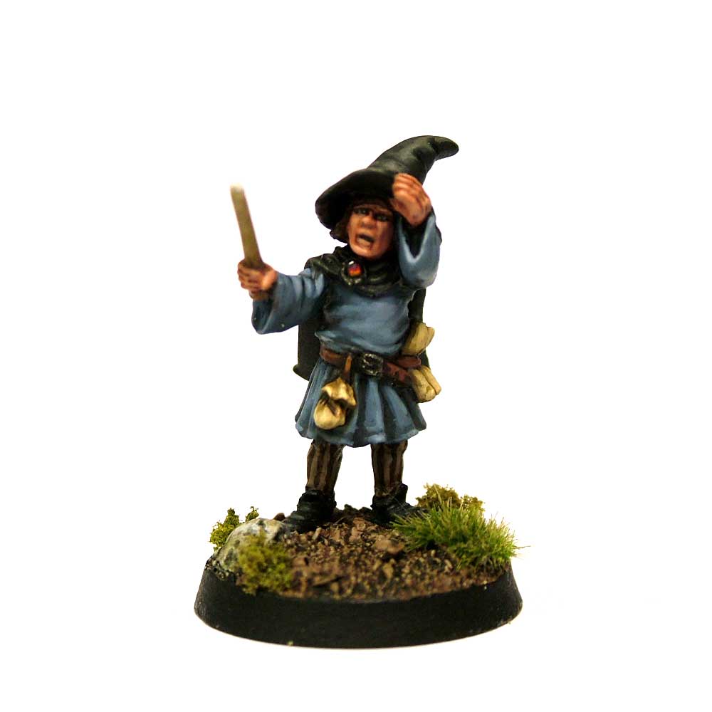 The wizard's promo apprentice