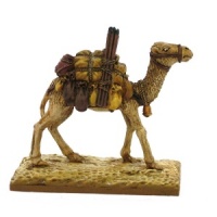 Pack Camel