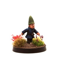 Gnomeling - Dodder