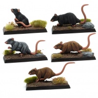 A Mischief of Rats! (Set of Great Rats)