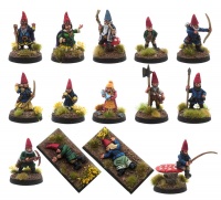 The Royal Court of the Common (or Garden) Gnomes