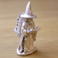 Wizard Graduate #1 Bookwyrm